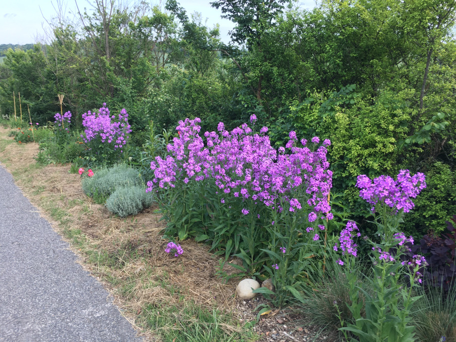 IMG_3404.jpeg