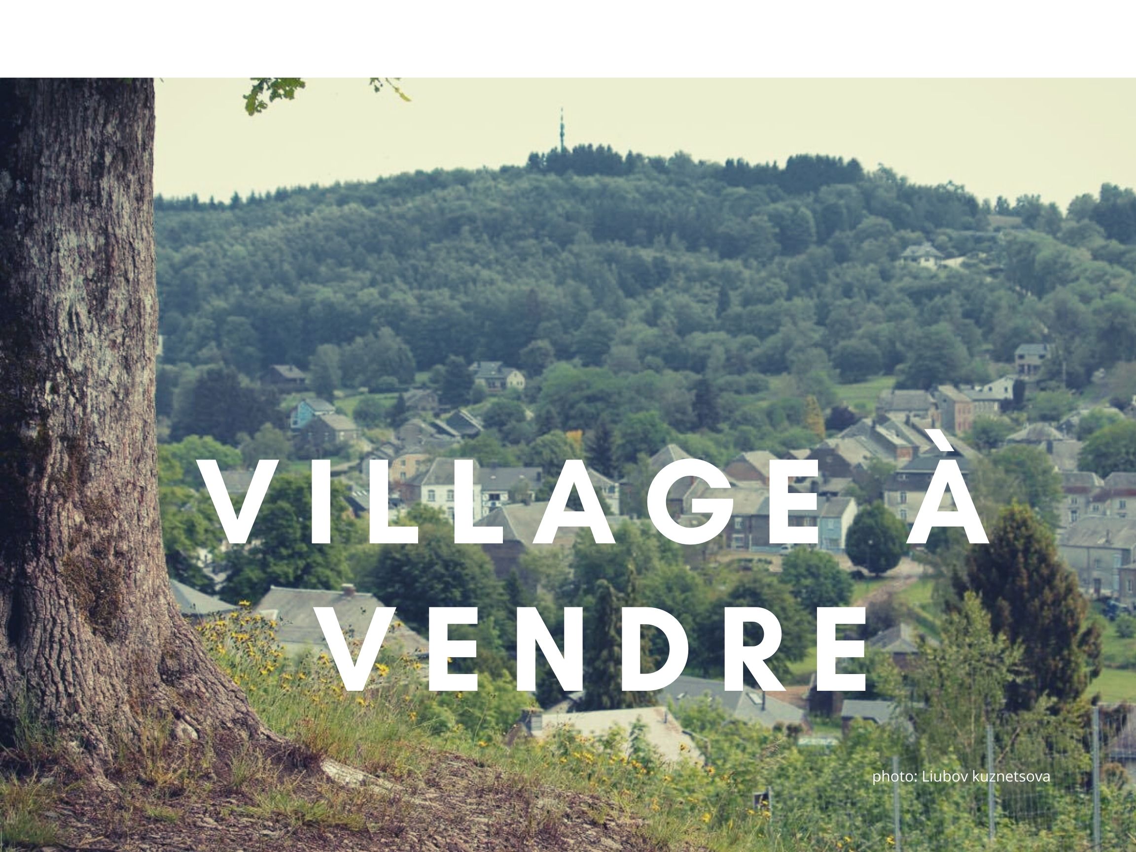 village_a_vendre.jpg